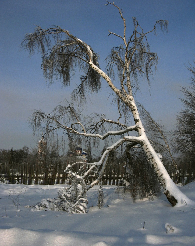 В январе