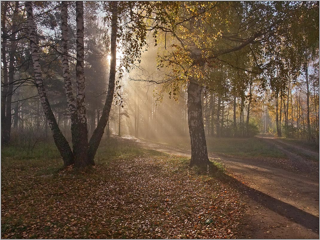 Солнце осени.