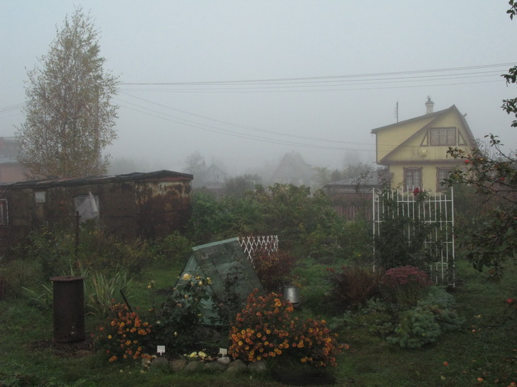 Туманное садоводство.