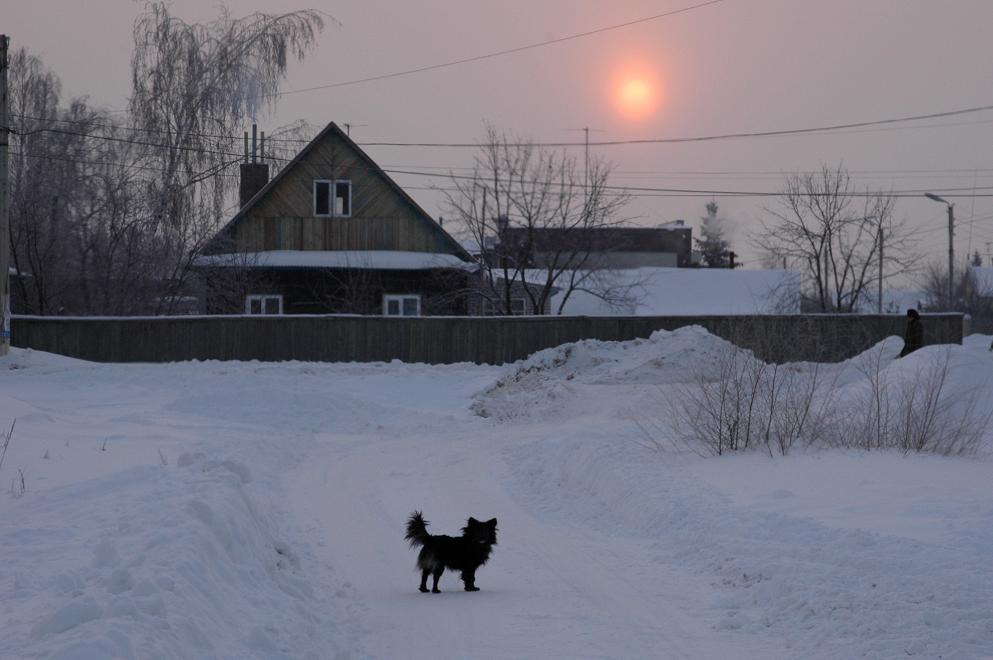 на рассвете