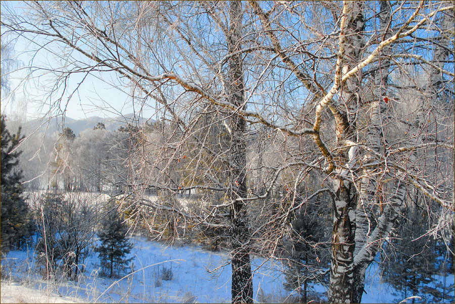 Воскресная прогулка