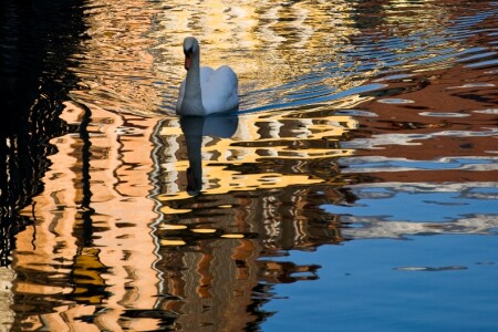 &amp;quot;Нарушитель спокойствия&amp;quot;