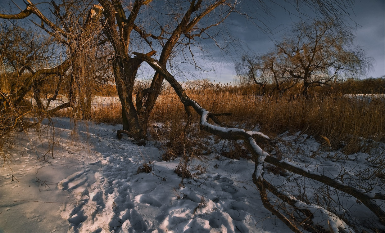 Донецкий февраль