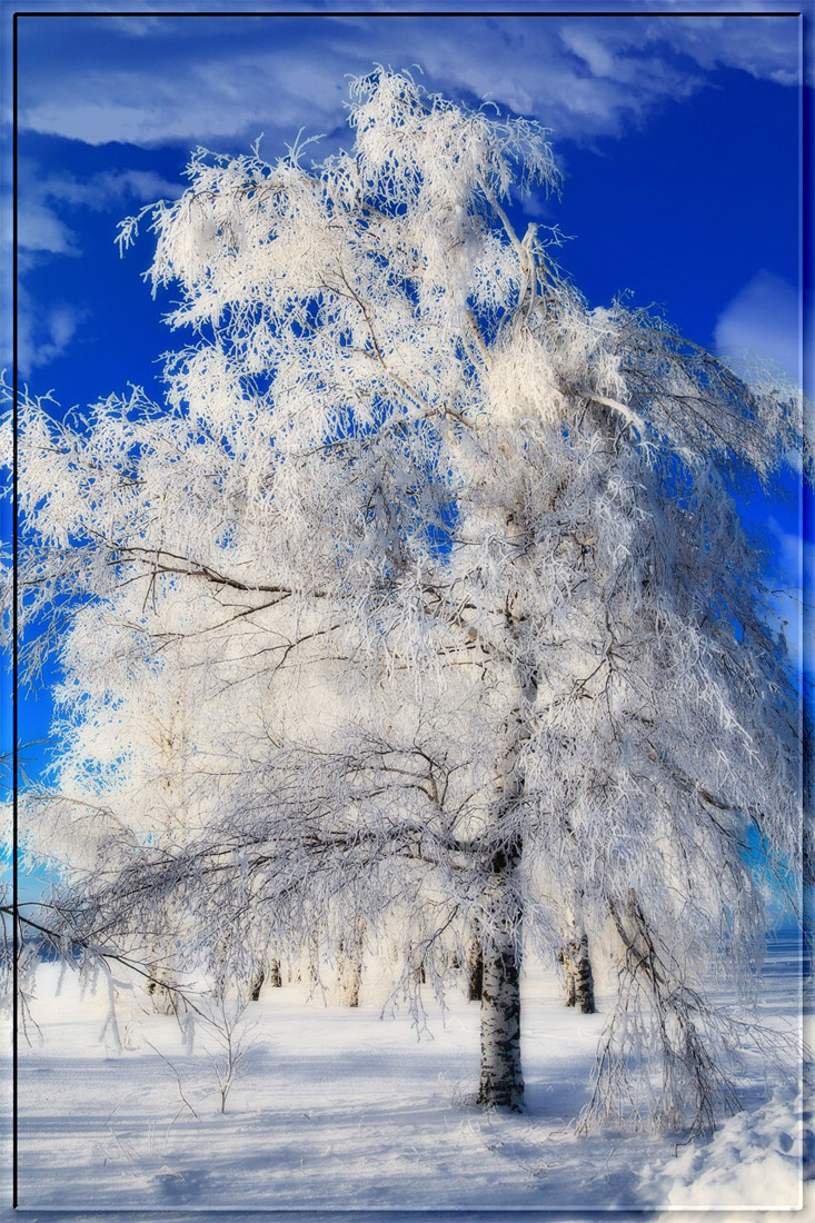 Греется беленькая...