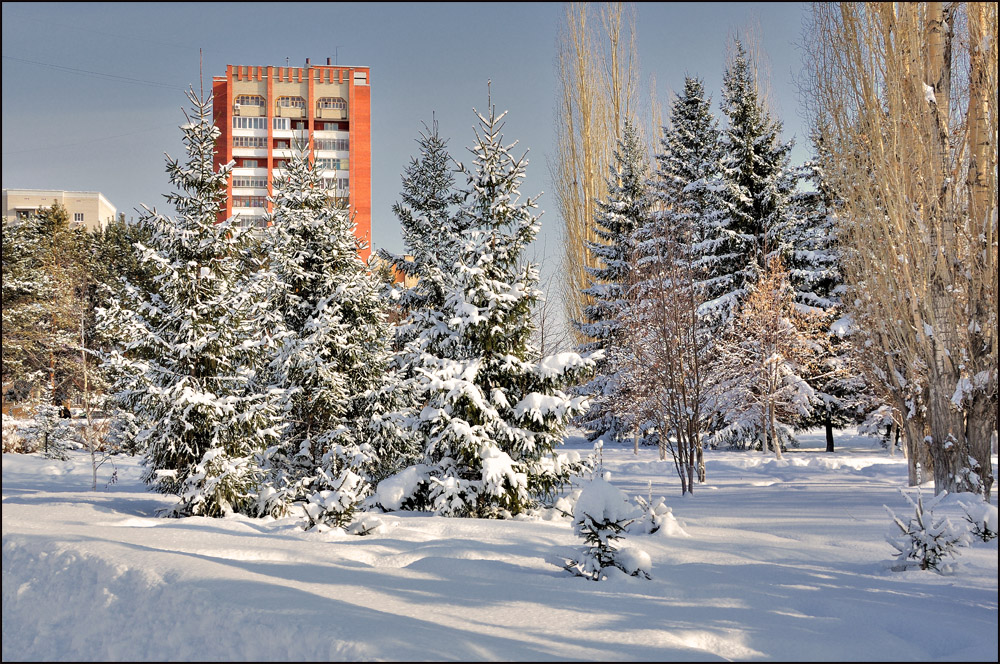 Зима в городском парке.