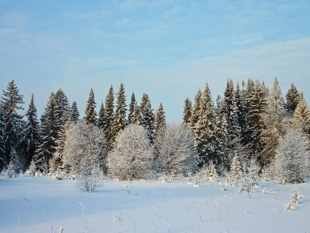 Белизна