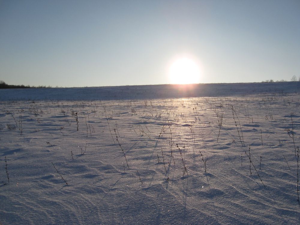 белая пустыня