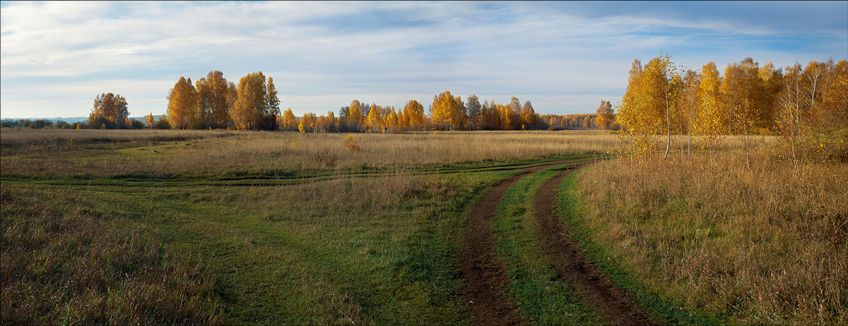 Осенний ноктюрн прошлого года.