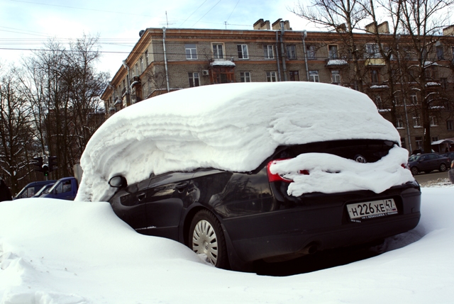 Перезимую в Питере