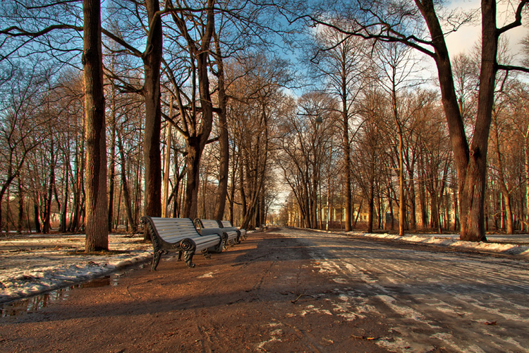 Прогулка в парке.