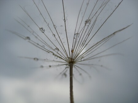 После дождя