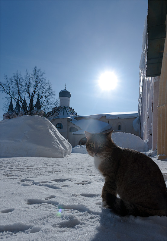 Погожий мартовский денек