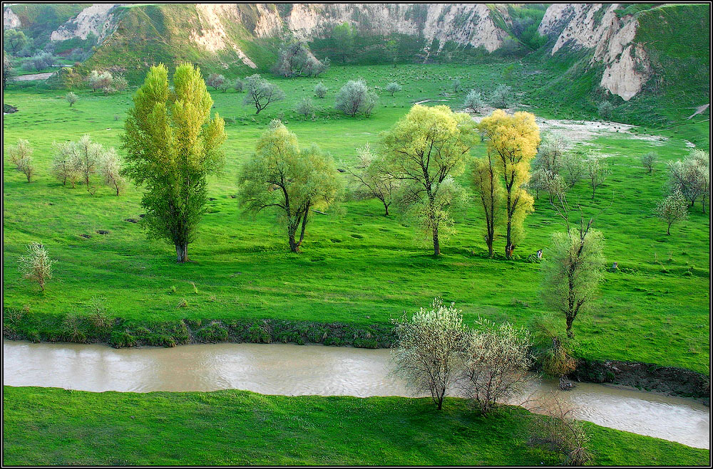 Весенняя зарисовка