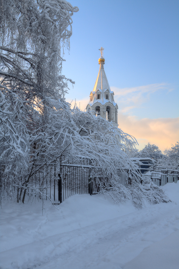 В зимнем парке