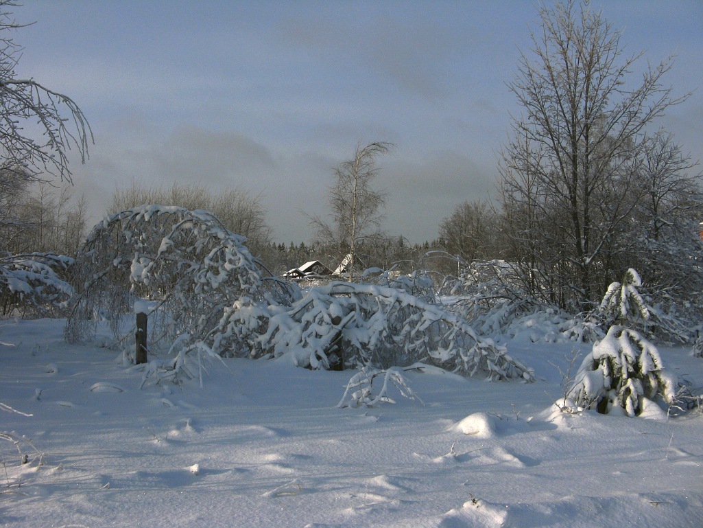 Безмолвие