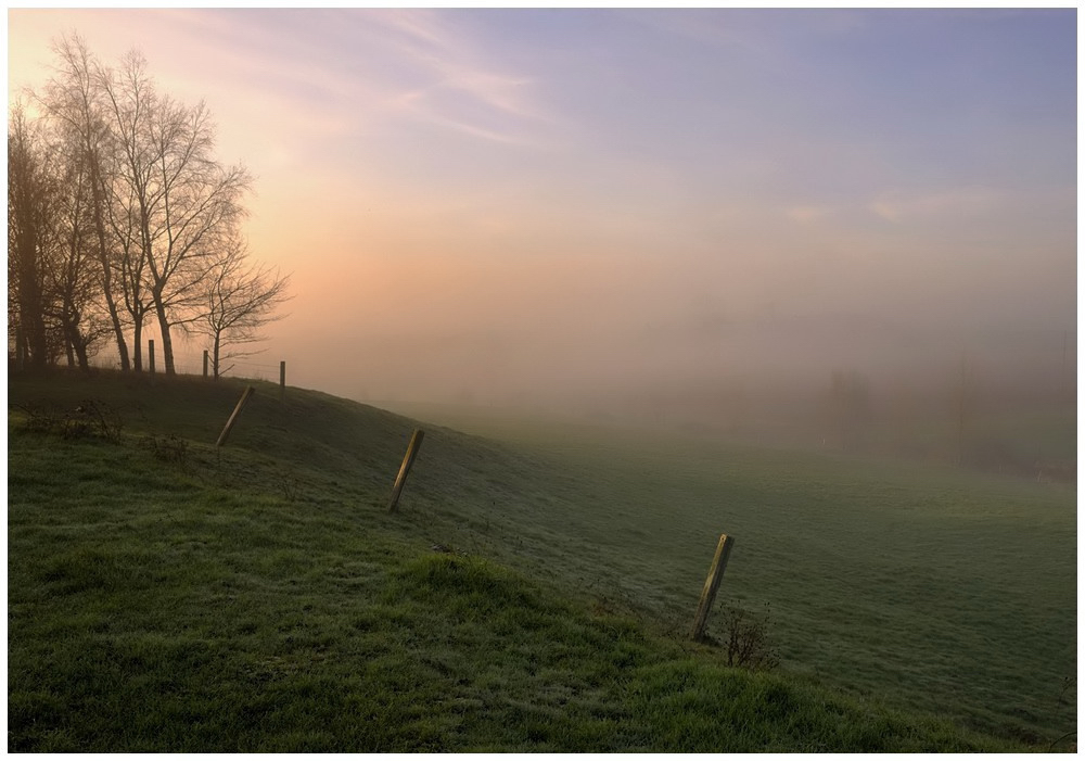 Foggy morning.