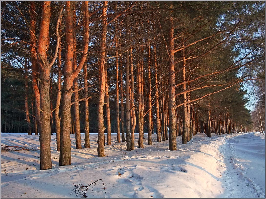 В теплых лучах заката.