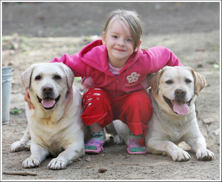 трое из ларца...одинаковы с лица )))