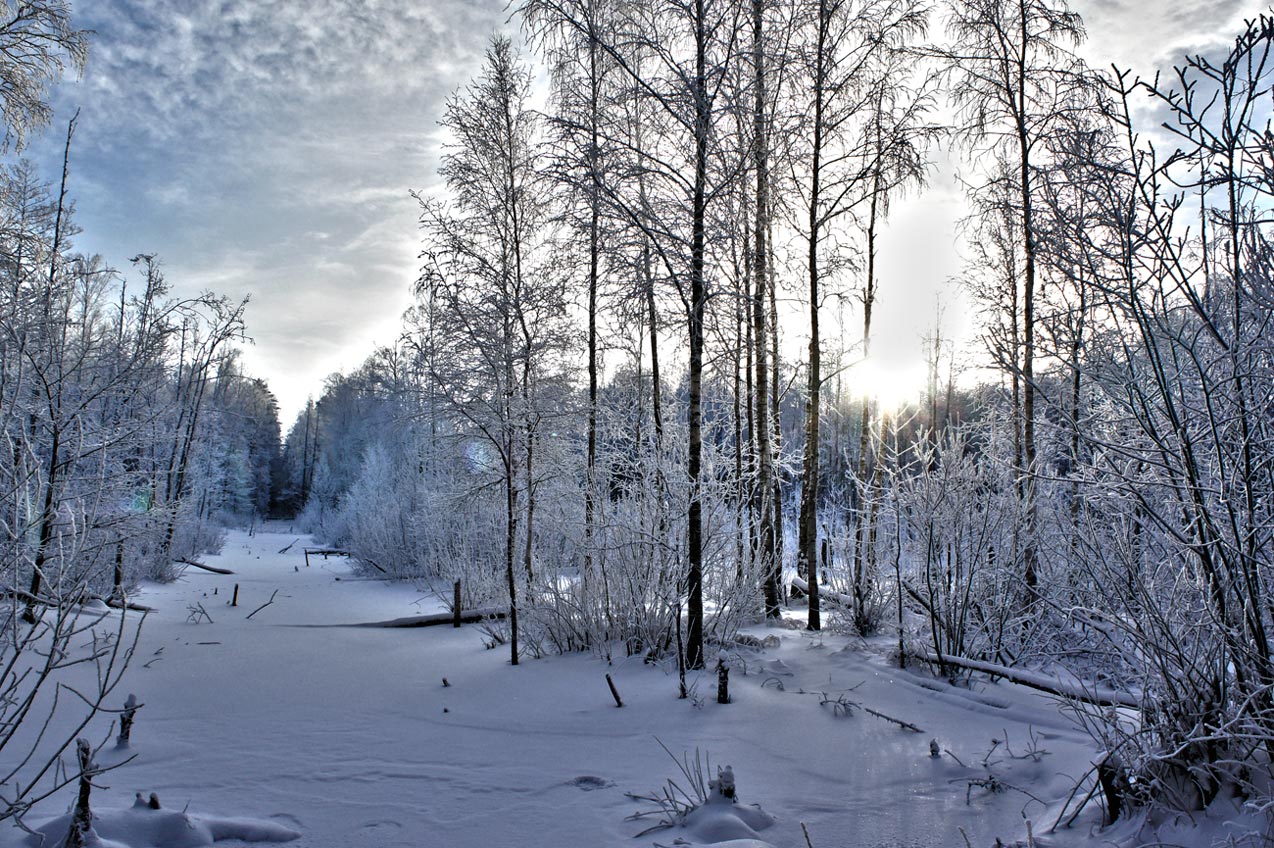 Рассвет