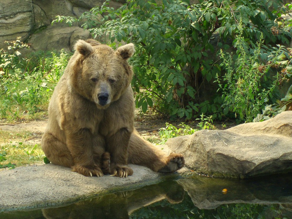 эх,жизнь моя..