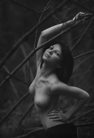 лесной цветок