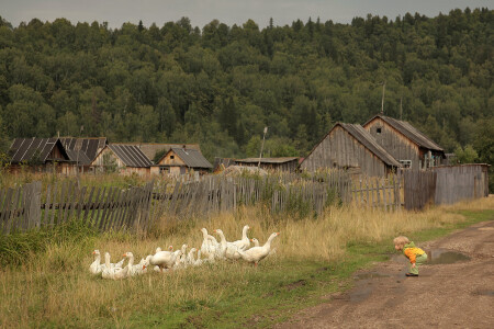 Не унесете вы моего братца, гуси-лебеди.