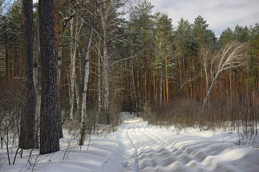 Весна