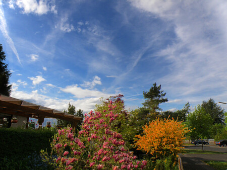 В ожидании весны