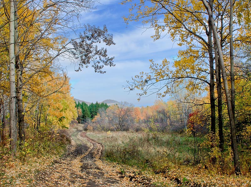 Дорога вОсень