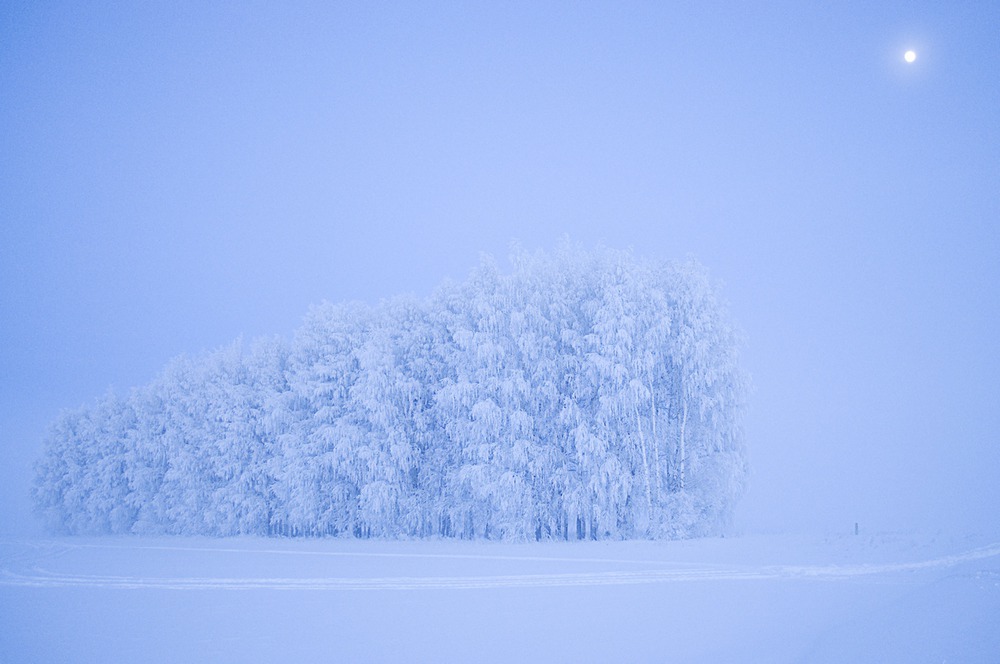 Лунная фантазия