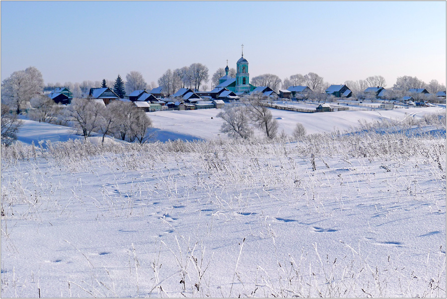 Морозный зимний день в деревне (4)