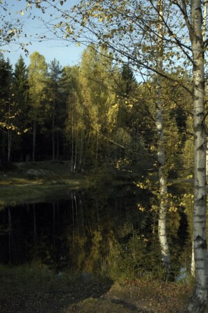 осенний хрусталь