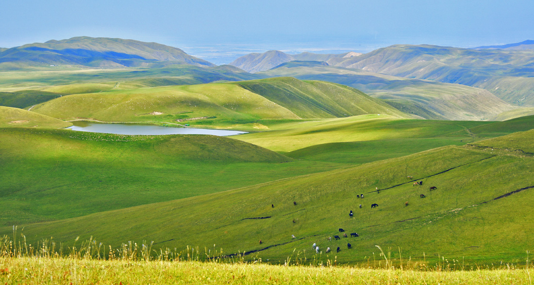 пейзаж с лошадками