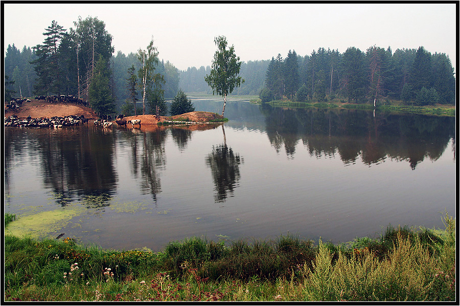 пастораль