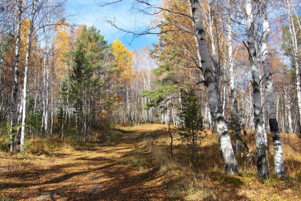 Солнечно