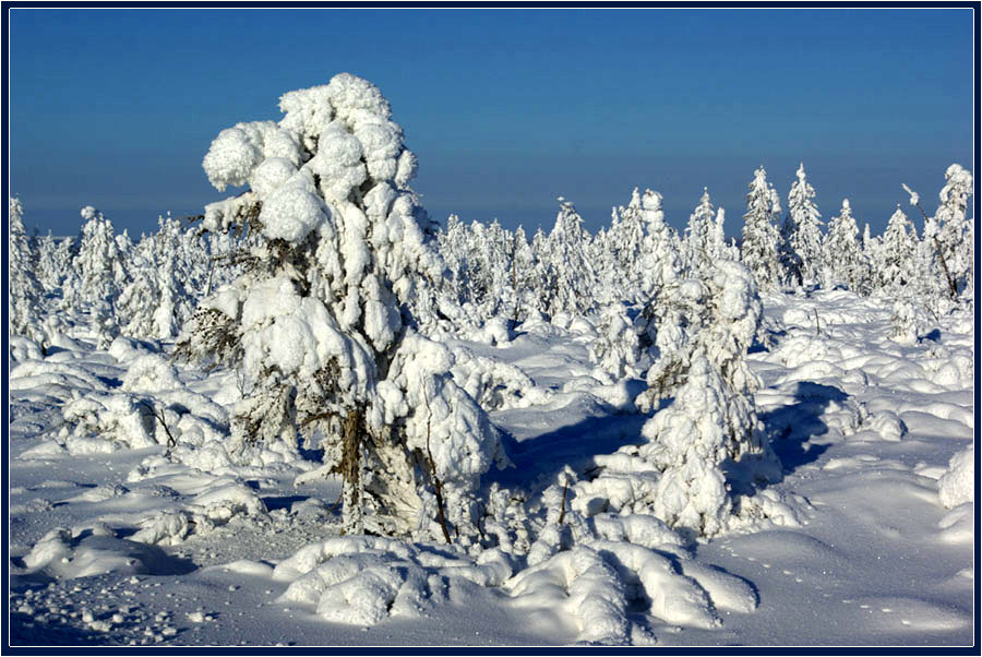 В снежном плену