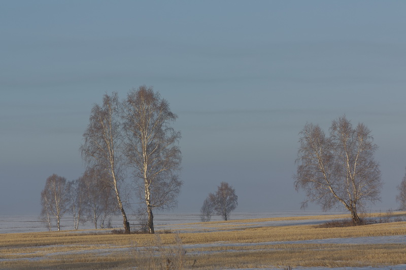 Сибирь. Весна. Утро.