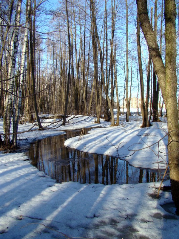 Полосатый апрель.