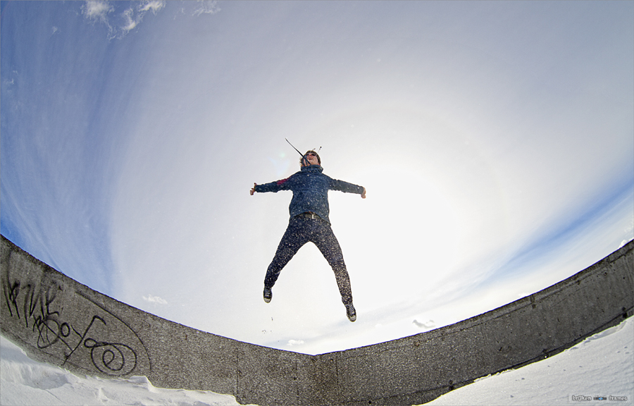 fly on a rooftop