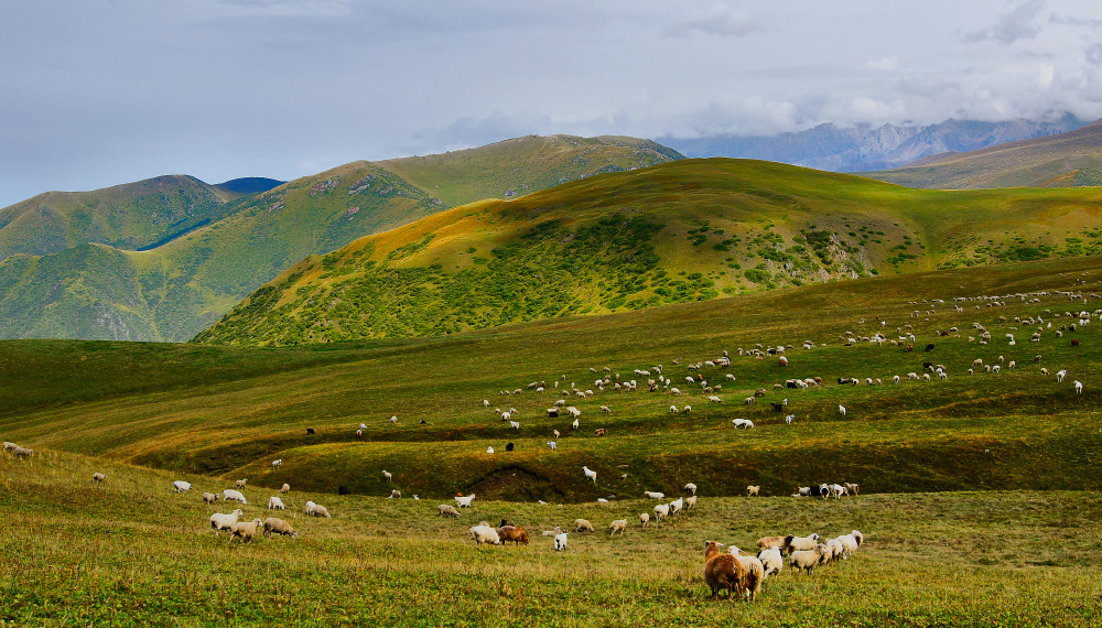 пейзаж с барашками