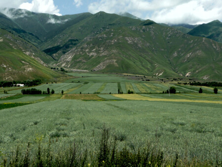 На северной стороне