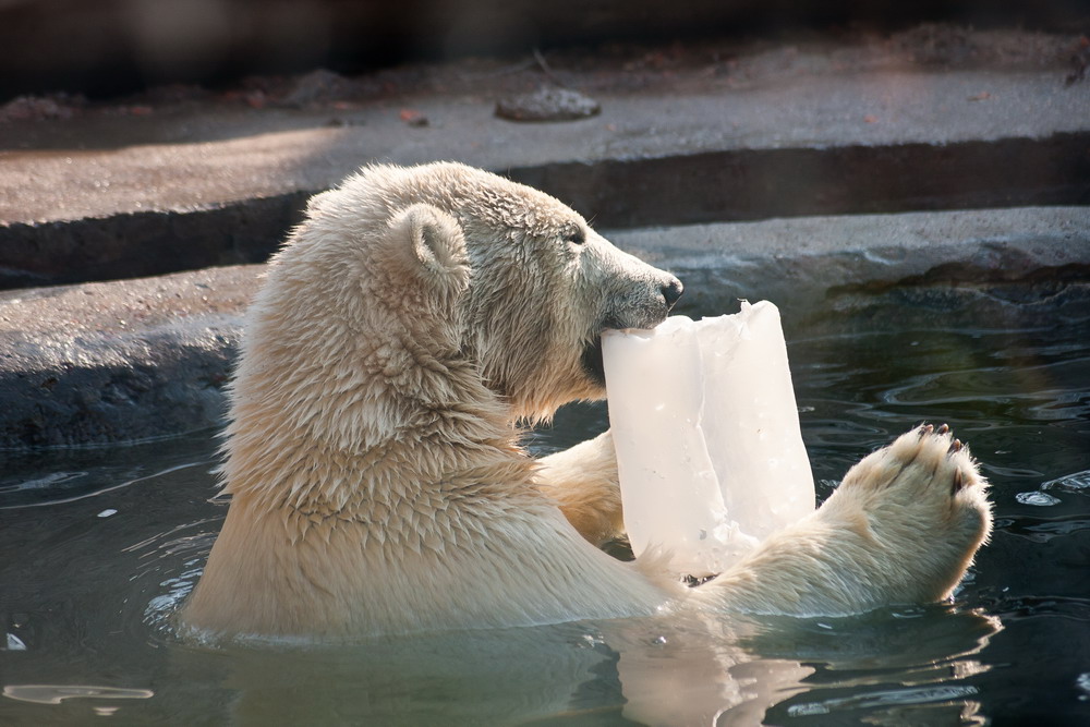 Водные процедуры