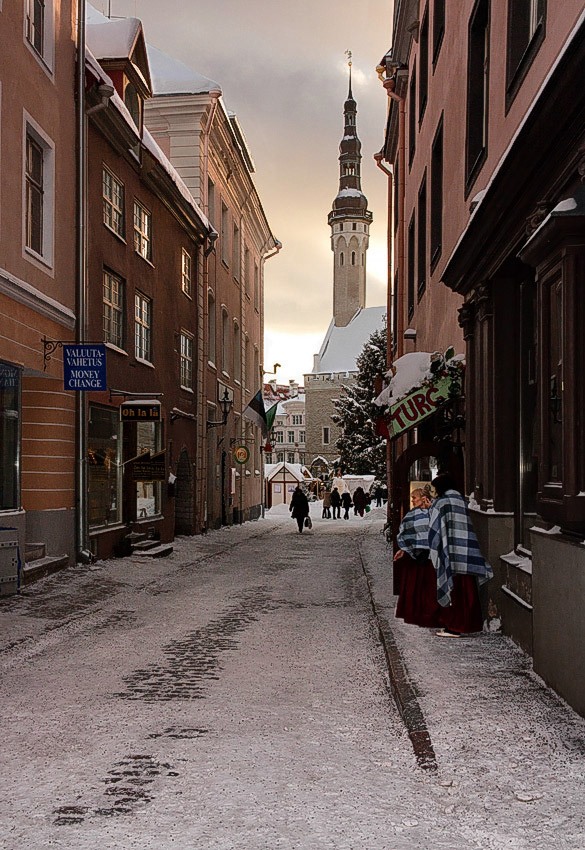 Mundi st. Tallinn