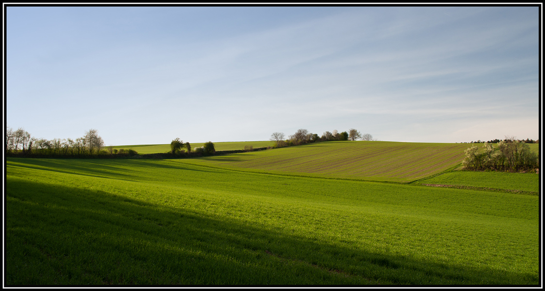 Весна 2011