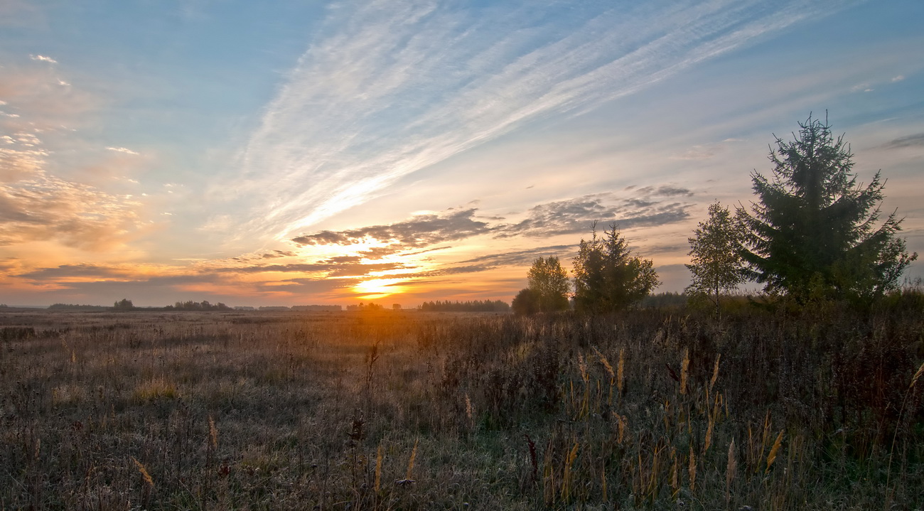 Первые осенние утренние заморозки