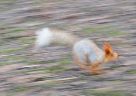 Вас тут не бежало!