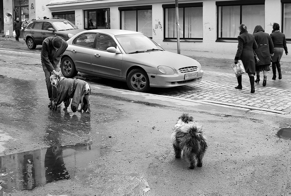 Он оглянулся посмотреть,не оглянулась ли она...