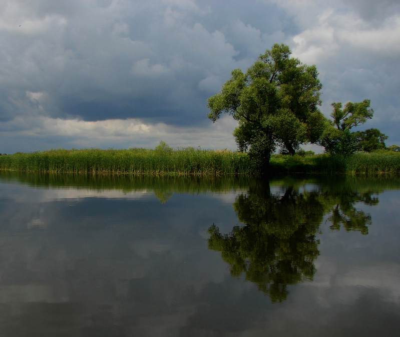 На реке