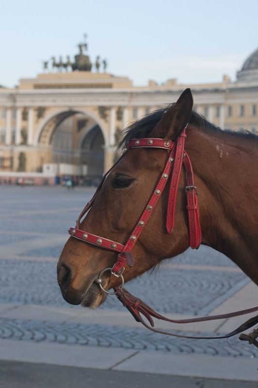 Лошадка