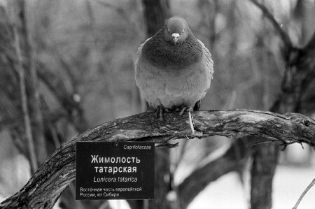 А он и не знал...